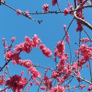 Meet your Posher, Lu